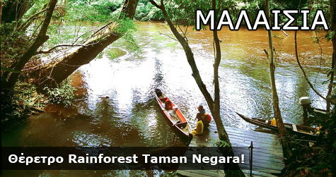 Θέρετρο Rainforest Taman Negara, Μαλαισία